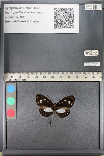 Media type: image;   Entomology 138468